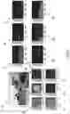 Fig. 07 - Systems and methods for monocular based object detection