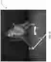 Fig. 24 - Artificial Reality Communications