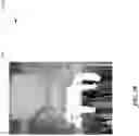 Fig. 30 - Artificial Reality Communications