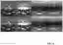 Fig. 07 - Image signal representing a scene