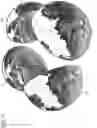 Fig. 08 - Apparatus, system, method, and non-transitory medium which map two images onto a three-dimensional object to generate a virtual image
