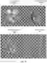 Fig. 08 - Appearance-driven automatic three-dimensional modeling