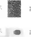 Fig. 05 - Systems and methods for generating three-dimensional images of an object based on frustrated total internal reflection