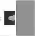 Fig. 12 - Systems and methods for performing fingerprint based user authentication using imagery captured using mobile devices