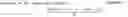 Fig. 02 - ANOMALY DETECTION MODEL USING MESSAGE ID SEQUENCE ON UNMANNED MOVING OBJECTS