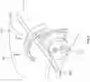 Fig. 06 - ELECTRONIC TILT SENSING, TRACKING, AND REPORTING SYSTEM