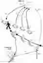 Fig. 14 - XCB tracking devices, methods and systems
