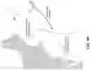 Fig. 13 - Real time sonic boom warning system