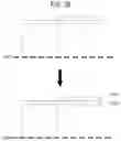 Fig. 19 - METHOD FOR DETERMINING ASSEMBLY SEQUENCE AND GENERATING INSTRUCTION OF ASSEMBLING TOY
