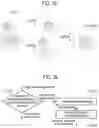 Fig. 31 - METHOD FOR DETERMINING ASSEMBLY SEQUENCE AND GENERATING INSTRUCTION OF ASSEMBLING TOY