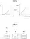 Fig. 05 - Demura compensation device and data processing circuit for driving display panel