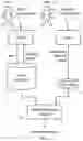 Fig. 02 - RECOMMENDATION ENGINE FOR UPSELLING IN RESTAURANT ORDERS