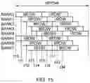 Fig. 16 - Semiconductor device performing row hammer refresh operation