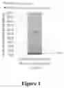 Fig. 02 - TUMOR ANTIGENICITY PROCESSING AND PRESENTATION
