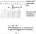 Fig. 07 - Protein database search using learned representations
