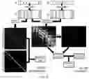 Fig. 11 - Protein database search using learned representations