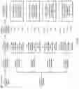 Fig. 10 - COMPLEX ARCHITECTURE FOR REACTION CONDITION DETERMINATION