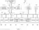 Fig. 03 - Automated Curation of Genetic Variants
