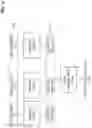 Fig. 13 - Method of diagnosis based on digital biomarker and apparatus for performing the method