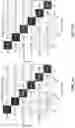 Fig. 03 - Image-based detection of ophthalmic and systemic diseases