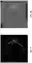 Fig. 11 - Image-based detection of ophthalmic and systemic diseases