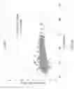 Fig. 04 - NANOWIRE INK PERFORMANCE CORRELATION TO NANOWIRE DIMENSION