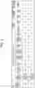 Fig. 03 - Compressed stranded conductor, insulated electric wire, and wire harness