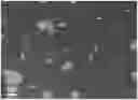 Fig. 01 - Method for preparing sintered NdFeB magnets