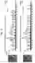Fig. 16 - Tissue analysis by mass spectrometry or ion mobility spectrometry