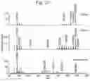 Fig. 24 - Tissue analysis by mass spectrometry or ion mobility spectrometry