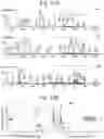 Fig. 41 - Tissue analysis by mass spectrometry or ion mobility spectrometry