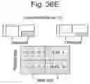 Fig. 47 - Tissue analysis by mass spectrometry or ion mobility spectrometry