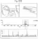 Fig. 49 - Tissue analysis by mass spectrometry or ion mobility spectrometry