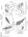 Fig. 61 - Tissue analysis by mass spectrometry or ion mobility spectrometry