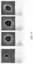 Fig. 10 - Methods for preparing a SOI structure