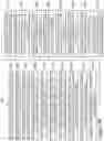 Fig. 60 - Gate structure of a semiconductor device and method of forming same