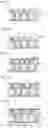 Fig. 09 - PACKAGING SUBSTRATE AND SEMICONDUCTOR APPARATUS COMPRISING SAME