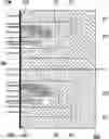 Fig. 01 - Layout structure with minimal additional parasitic capacitance