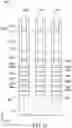 Fig. 14 - Semiconductor device structure and methods of forming the same