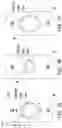 Fig. 11 - Pixel array substrate