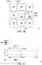 Fig. 13 - Pixel array substrate