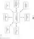 Fig. 02 - Pixel array providing flicker reduction and dynamic range