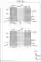 Fig. 92 - Circuit board, semiconductor device, and electronic device