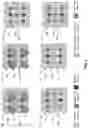 Fig. 09 - Pixel array including octagon pixel sensors