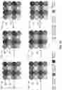 Fig. 14 - Pixel array including octagon pixel sensors