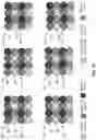 Fig. 19 - Pixel array including octagon pixel sensors