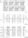 Fig. 19 - High-density three-dimensional vertical memory