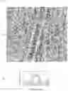 Fig. 15 - Photoelectric conversion element and solid-state imaging device