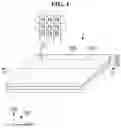 Fig. 02 - Display device and method of fabricating the same