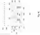 Fig. 05 - Strained gate semiconductor device having an interlayer dielectric doped with large species material
